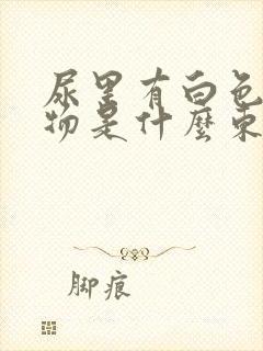 尿里有白色沉淀物是什么东西