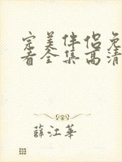 完美伴侣免费观看全集高清版