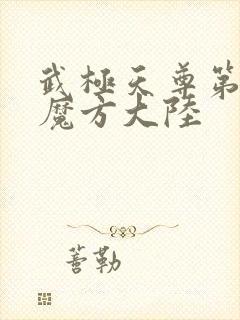 武极天尊第三部魔方大陆