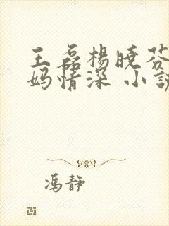 王磊杨晓芬 后妈情深 小说
