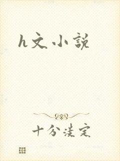 h文小说