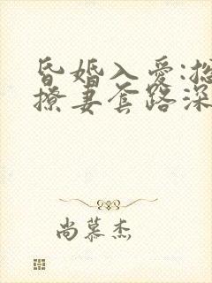 昏婚入爱:总裁撩妻套路深