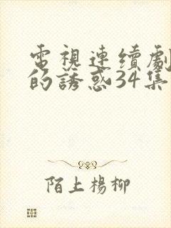 电视连续剧回家的诱惑34集