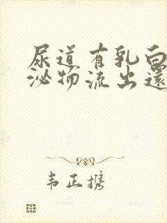 尿道有乳白色分泌物流出还有刺痛感封面