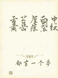 舌苔厚白中间有黄齿痕裂纹