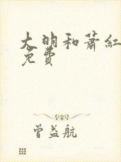 大明和萧红小说免费封面