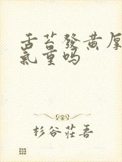 舌苔发黄厚是湿气重吗