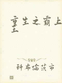 重生之霸上女军王