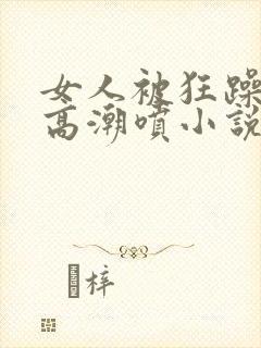 女人被狂躁c到高潮喷小说