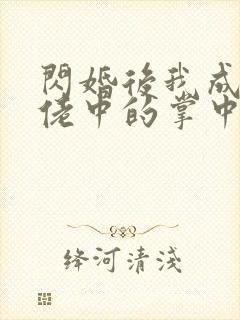 闪婚后我成了大佬中的掌中之物