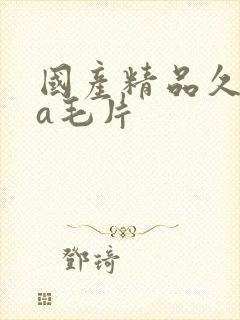 国产精品久久久a毛片封面