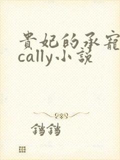 贵妃的承宠日常cally小说封面