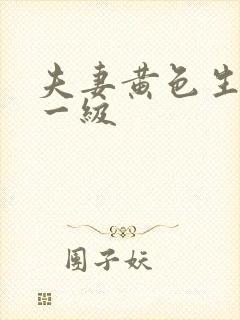 夫妻黄色生活片一级封面