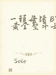 一头母猪 BY 黄金圣斗士封面