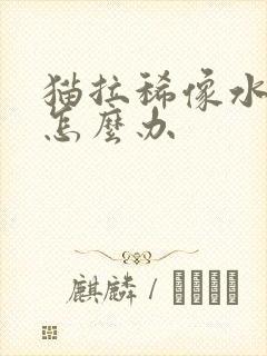 猫拉稀像水一样怎么办