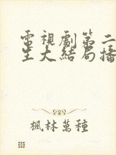 电视剧第二次人生大结局播放