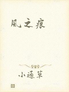 风之痕封面