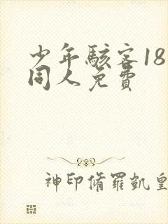 少年骇客18禁同人免费