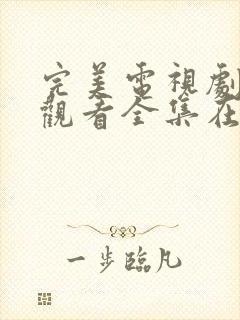 完美电视剧免费观看全集在线观看封面