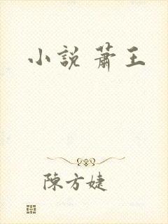 小说 萧王