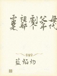 电视剧父母爱情是哪个年代的事