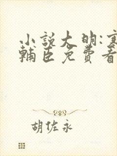 小说大明:寒门辅臣免费看