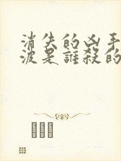 消失的凶手里闫波是谁杀的封面