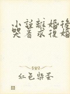 小说离婚后前夫哭着求复婚在线阅读