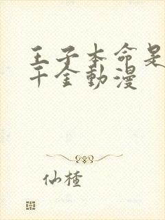 王子本命是恶役千金动漫