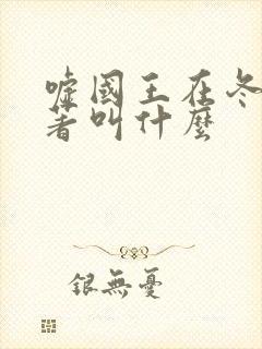 嘘国王在冬眠原著叫什么