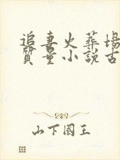 追妻火葬场的高质量小说古言