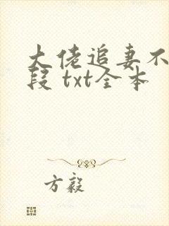 大佬追妻不择手段 txt全本