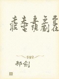 老夫妻免费完整版电视剧在线观看中封面