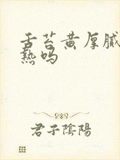 舌苔黄厚腻是湿热吗