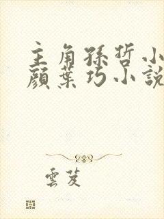 主角孙哲小妈朱颜叶巧小说