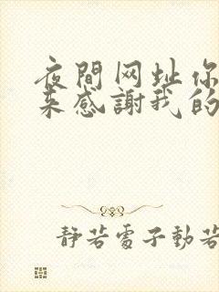 夜间网址你会回来感谢我的