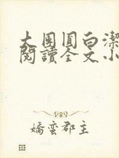 大团圆白洁免费阅读全文小说封面