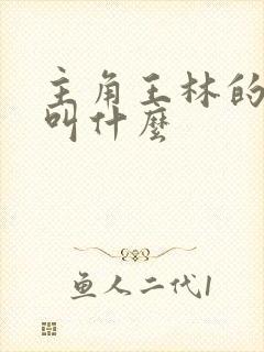 主角王林的小说叫什么封面