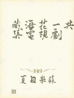 藏海花一共多少集电视剧