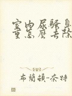 室内尿骚臭味很重怎么去除