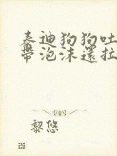 泰迪狗狗吐黄水带泡沫还拉稀