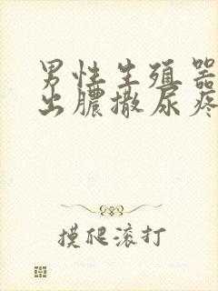 男性生殖器尿道出脓撒尿疼