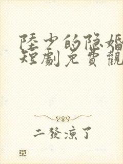 陆少的隐婚罪妻短剧免费观看