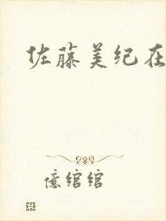 佐藤美纪在线看