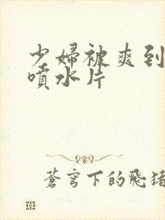 少妇被爽到高潮喷水片