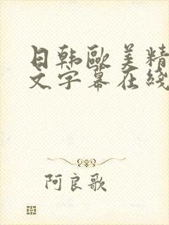 日韩欧美精品中文字幕在线观看完整版