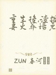 重生后,渣总追妻火葬场免费阅读