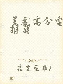 美剧高分电视剧推荐