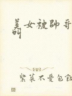 美女被帅哥操的叫