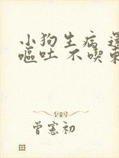 小狗生病 还有呕吐 不吃东西